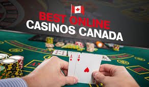 Discover the Top Online Casinos Your Guide to the Best Gaming Experience