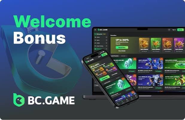 Exploring the BC CO Mirror Site A Comprehensive Guide Exploring the BC CO Mirror Site A Comprehensive Guide