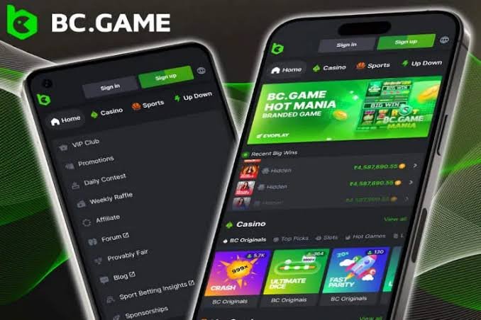 Maximize Your Fun A Deep Dive into BC.Game App Bonuses